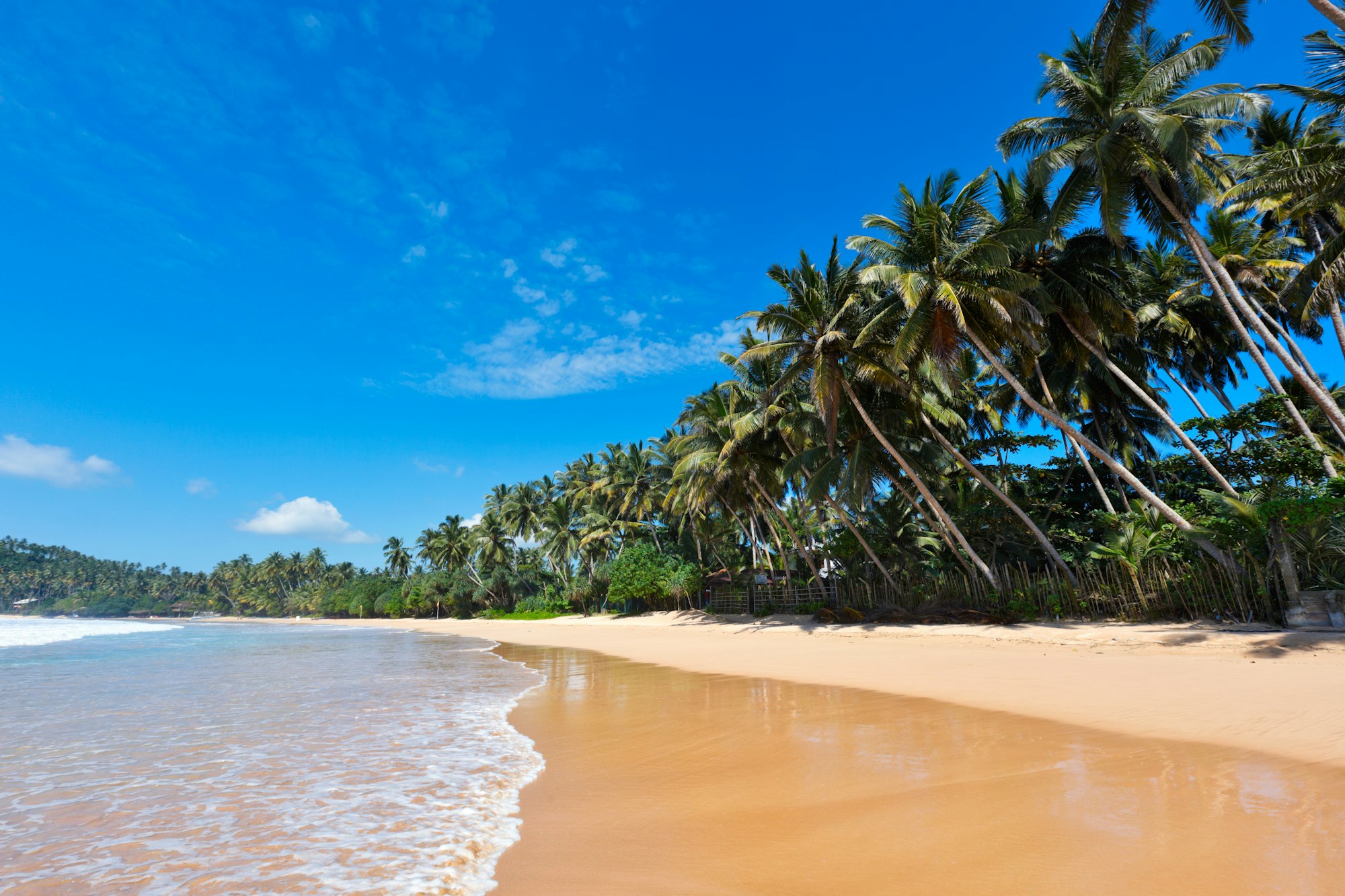 Idyllic beach. Sri Lanka