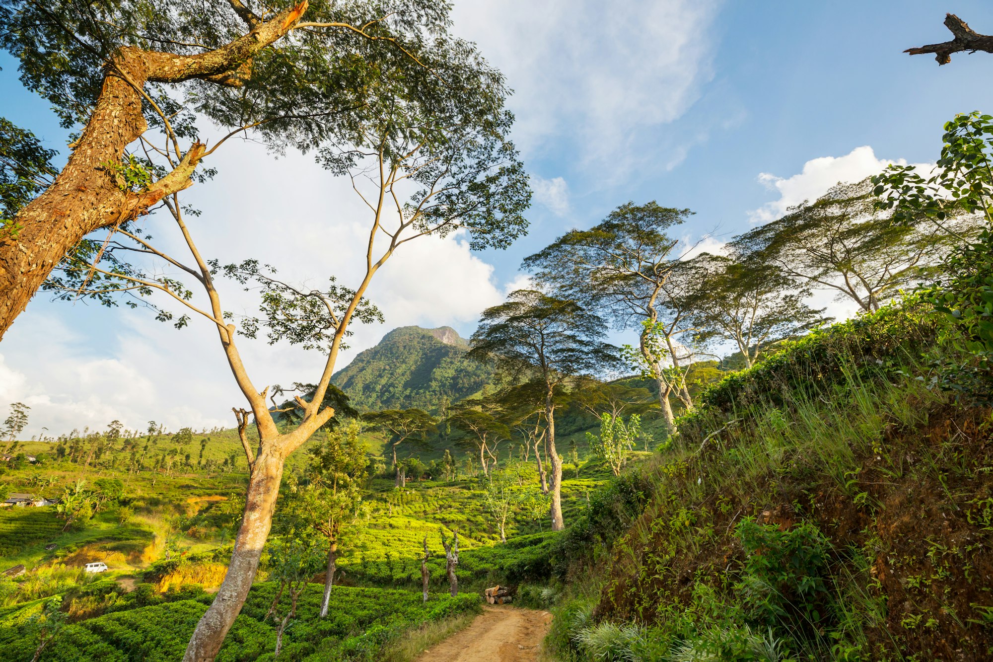 Mountains on Sri Lanka