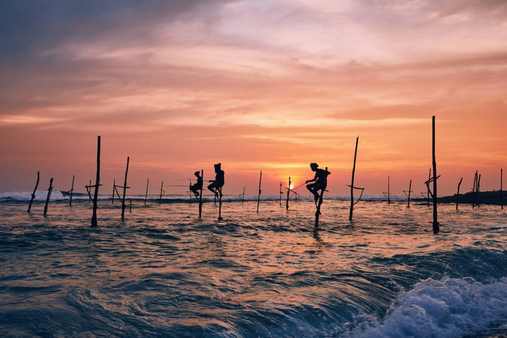 Traditional stilt fishing in Sri Lanka